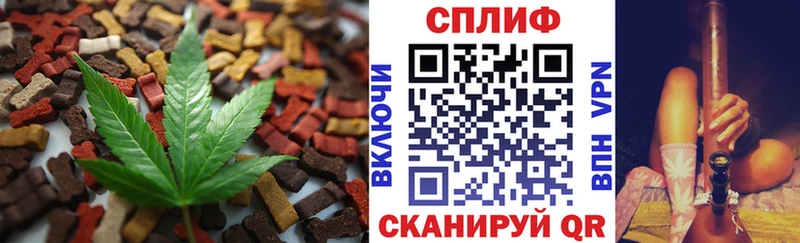 Cannafood конопля  darknet формула  Камышин 