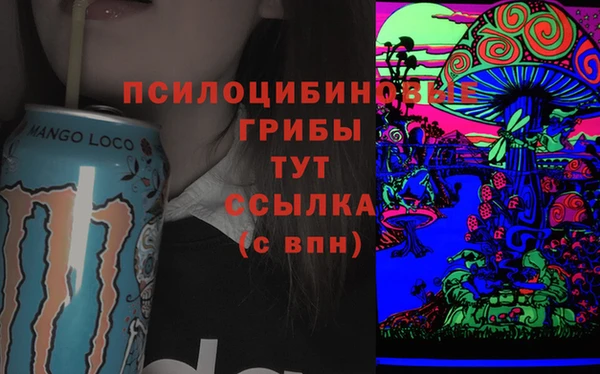 стафф Алексеевка
