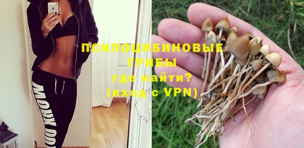 стафф Алексеевка