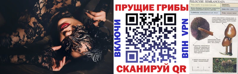 Псилоцибиновые грибы GOLDEN TEACHER  даркнет сайт  Камышин 