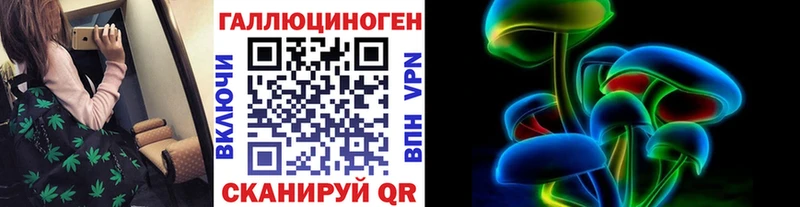 Псилоцибиновые грибы Psilocybe Камышин